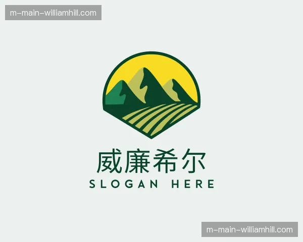 关于威廉希尔官网